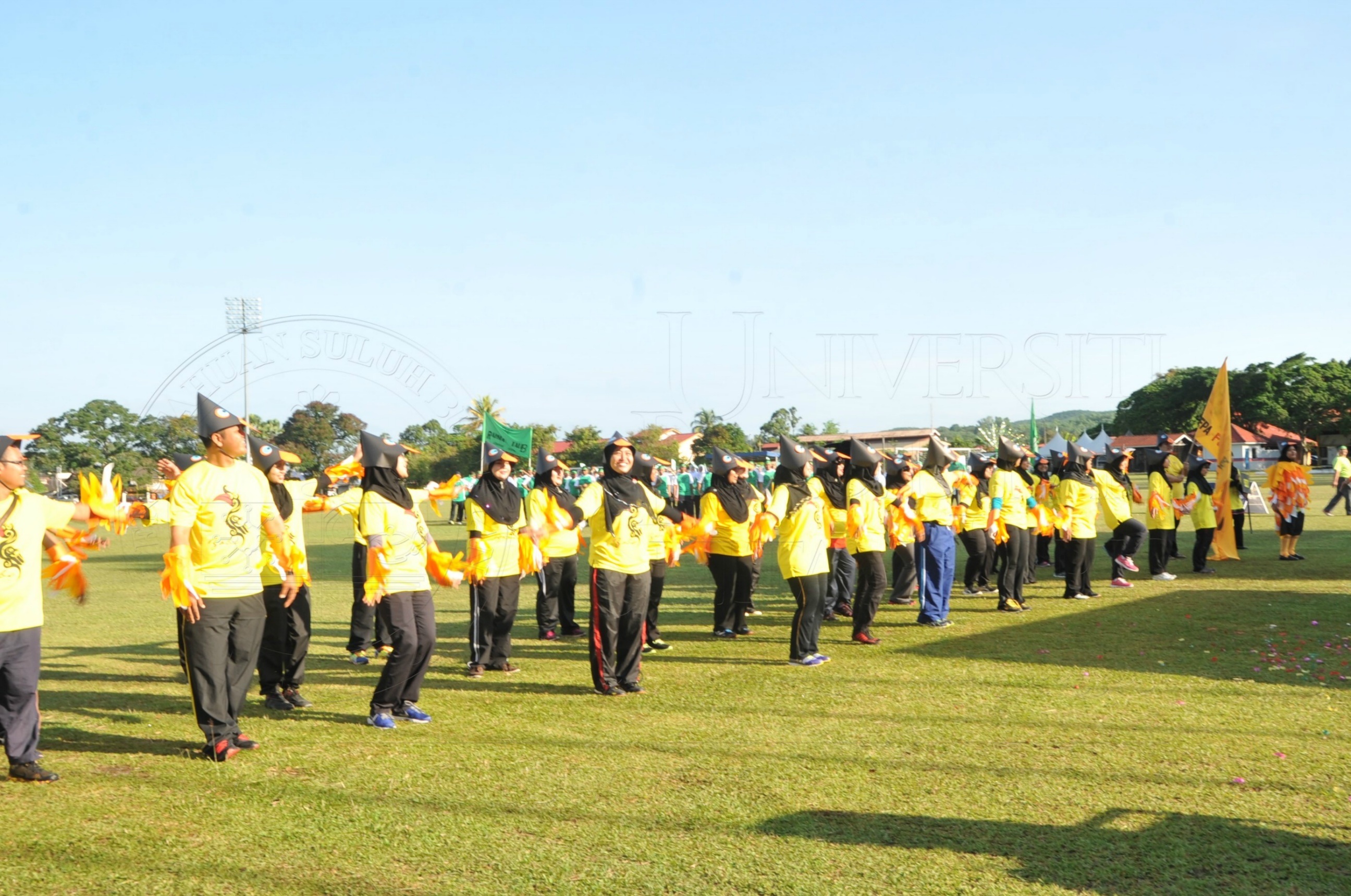 PRO 15 53 KIESTA HAS 3556